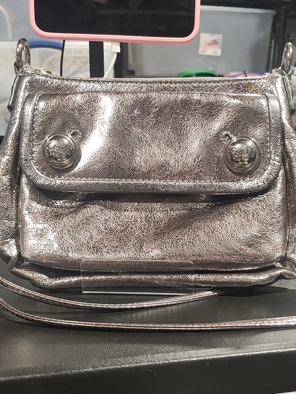 Coach Metallic Poppy